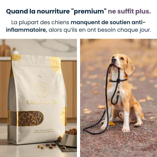 Régule les démangeaisons à la source