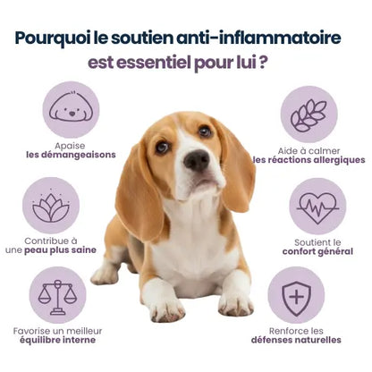 Régule les démangeaisons à la source