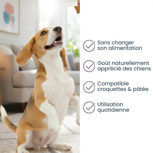 Régule les démangeaisons à la source