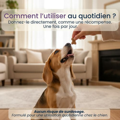 Régule les démangeaisons à la source